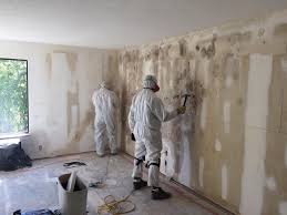 Mold Odor Removal Services in Sam Rayburn, TX